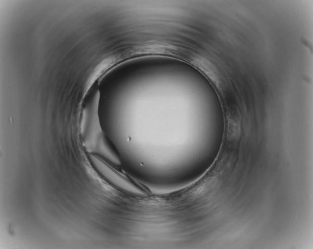 X0000098220994200804241340