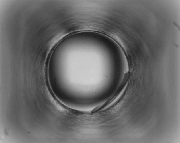 X0000098220995200804241340