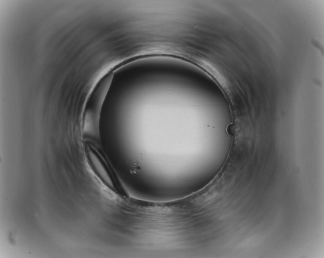 X0000098220996200804241340