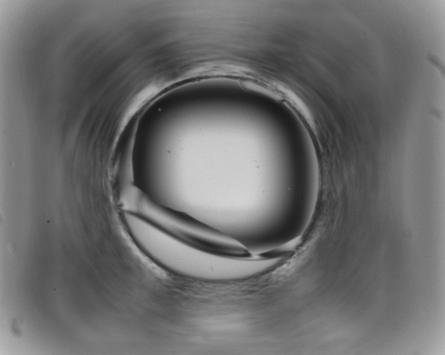 X0000098220997200804241340