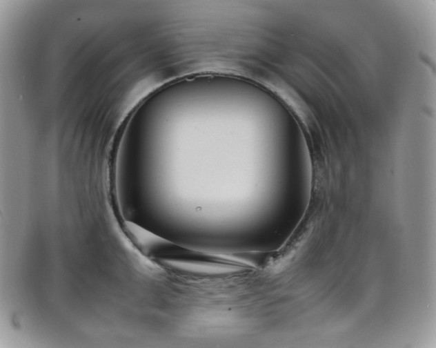 X0000098220999200804241339