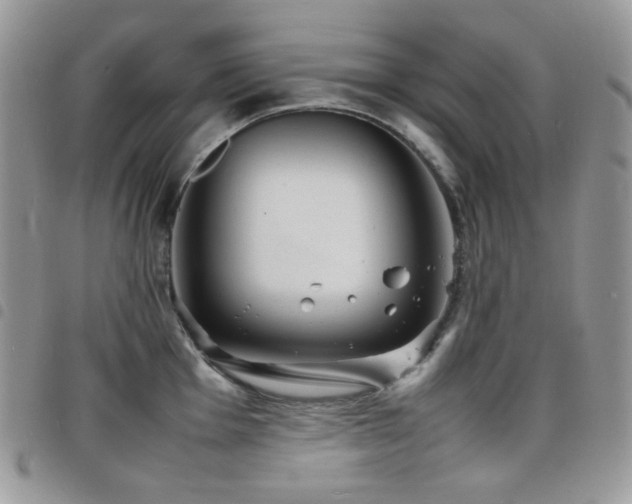 X0000098221001200804241339