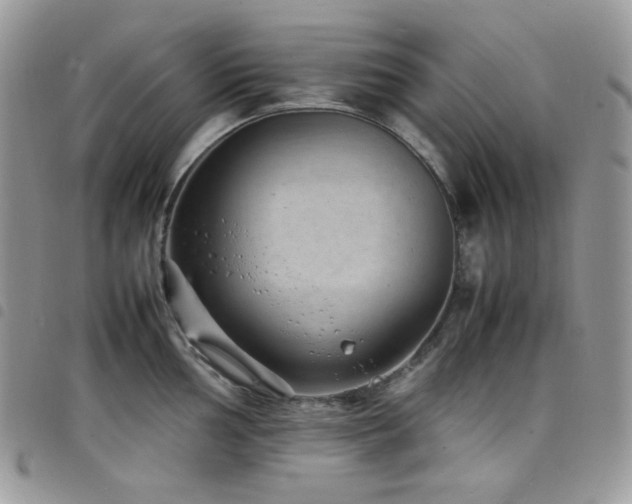X0000098221002200804241339