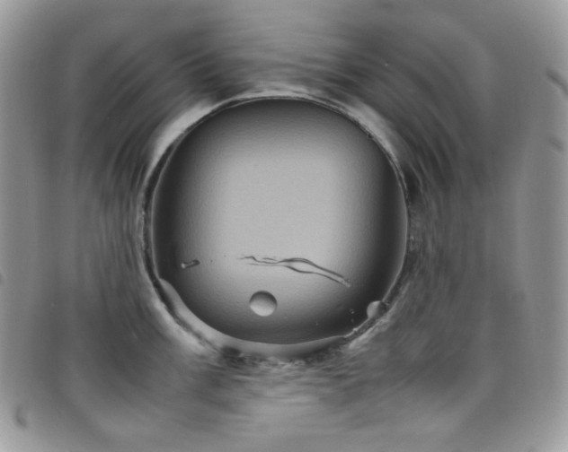 X0000098221003200804241339