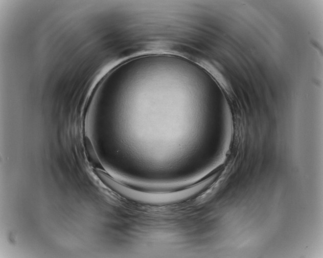 X0000098221004200804241339