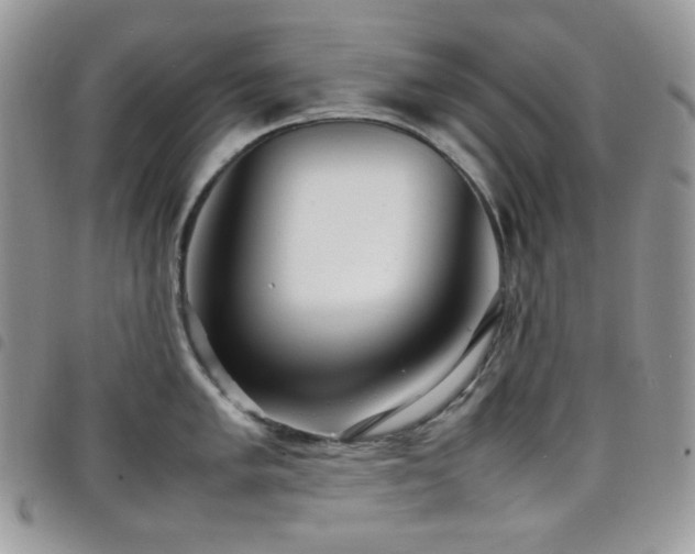 X0000098221005200804241339