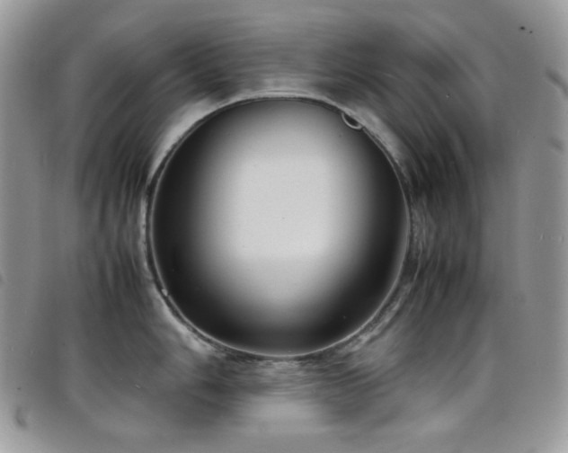 X0000098221006200804241339