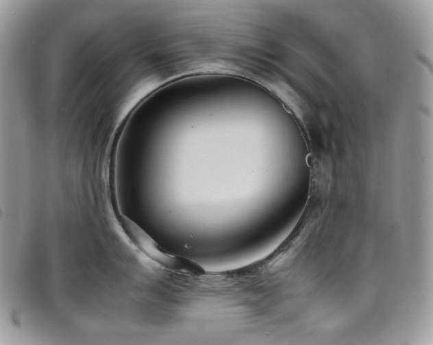 X0000098221007200804241339