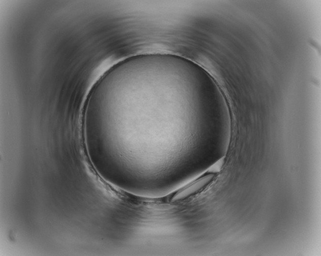 X0000098221008200804241339
