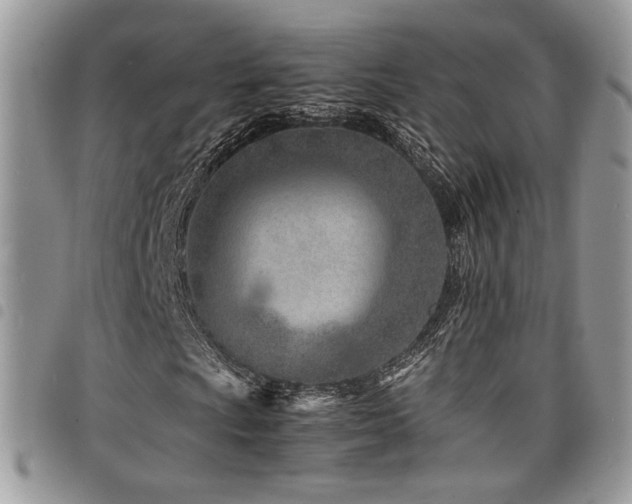 X0000098221009200804241339