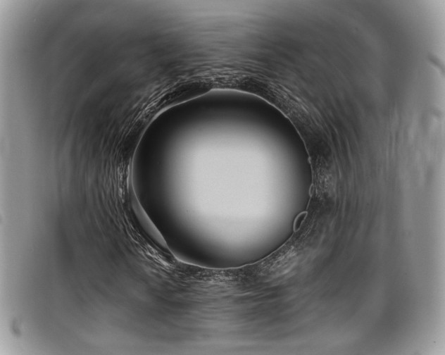 X0000098221010200804241339