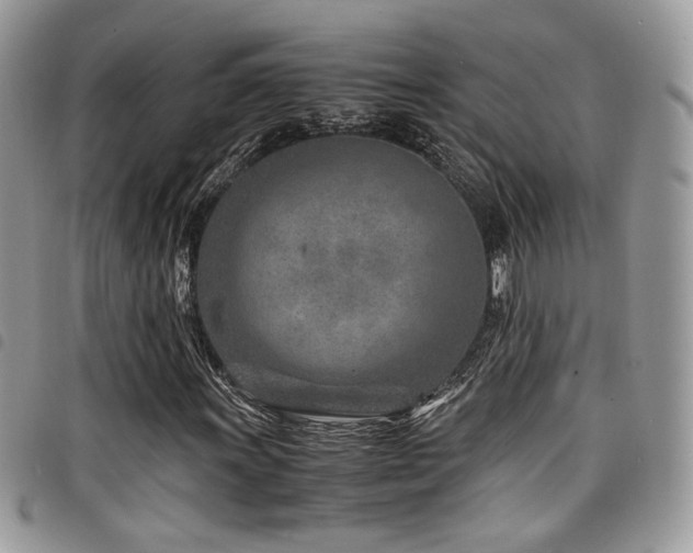 X0000098221011200804241339