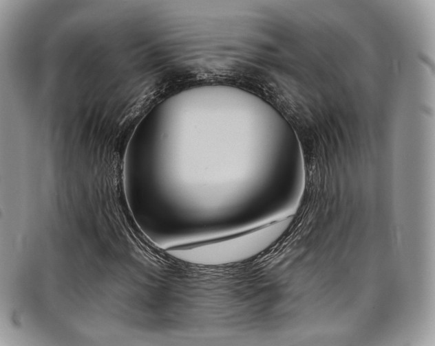 X0000098221012200804241339