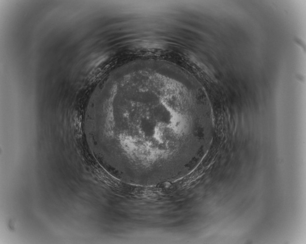 X0000098221013200804241339