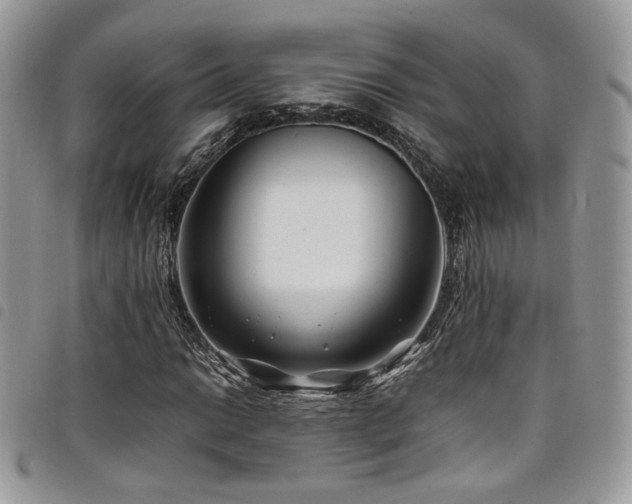 X0000098221014200804241339
