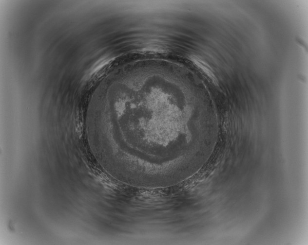 X0000098221015200804241339
