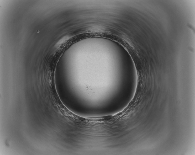 X0000098221016200804241339