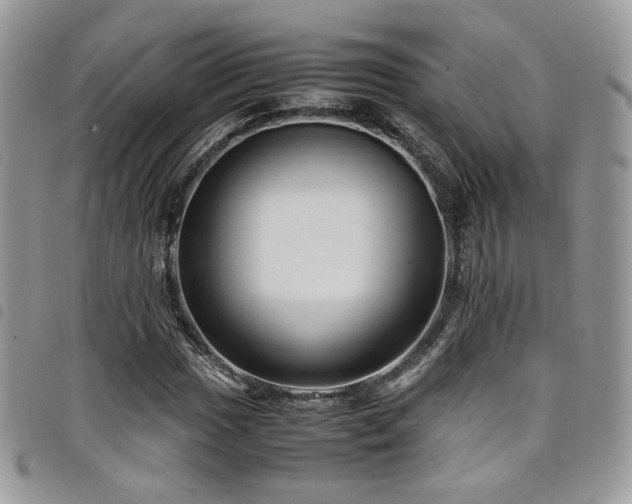 X0000098221017200804241339