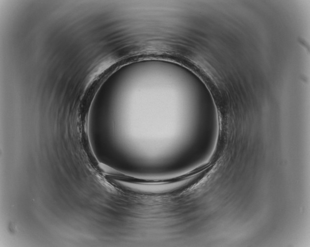X0000098221018200804241339