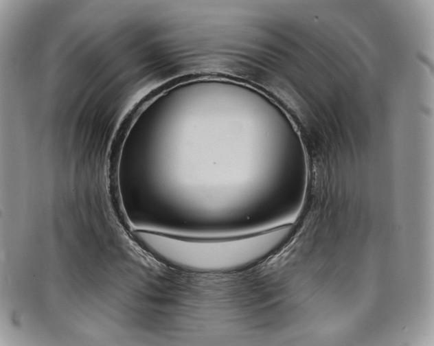 X0000098221020200804241339
