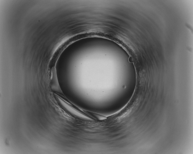X0000098221021200804241339
