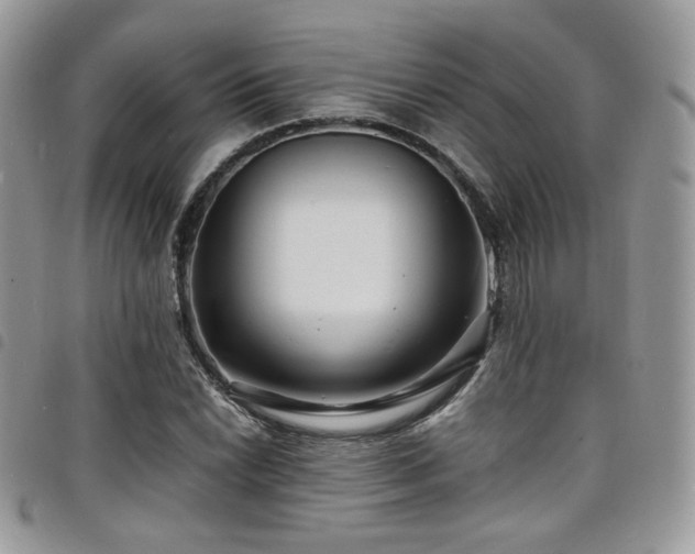 X0000098221022200804241339