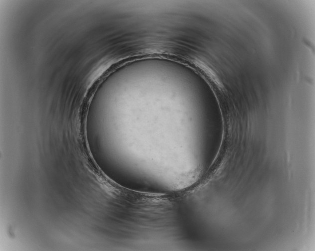 X0000098221023200804241339