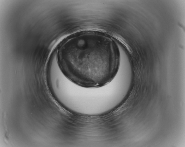 X0000098221024200804241339