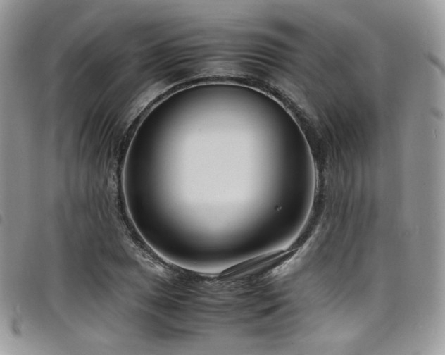 X0000098221025200804241339