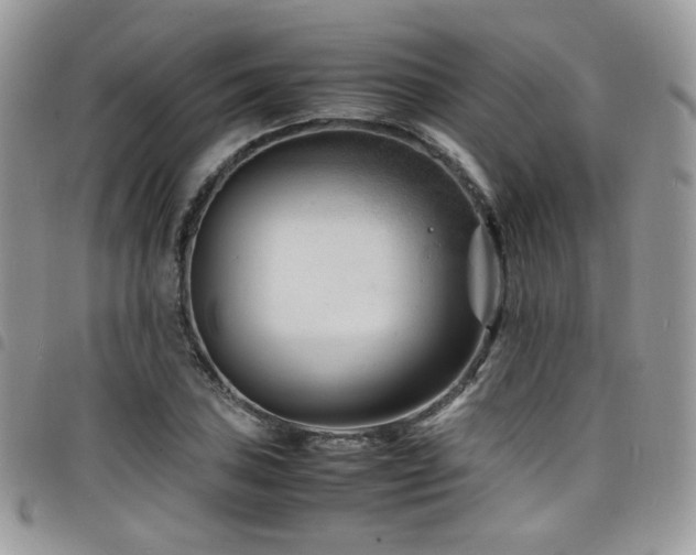 X0000098221027200804241339