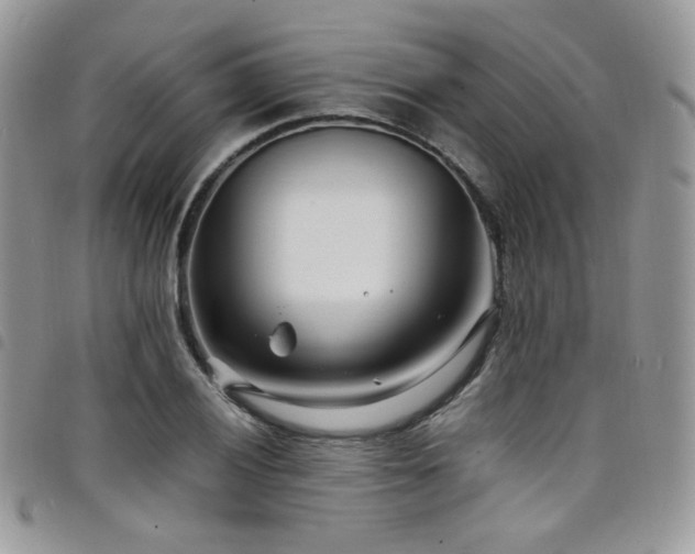 X0000098221028200804241339