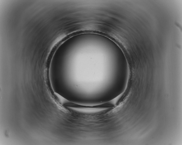 X0000098221029200804241339