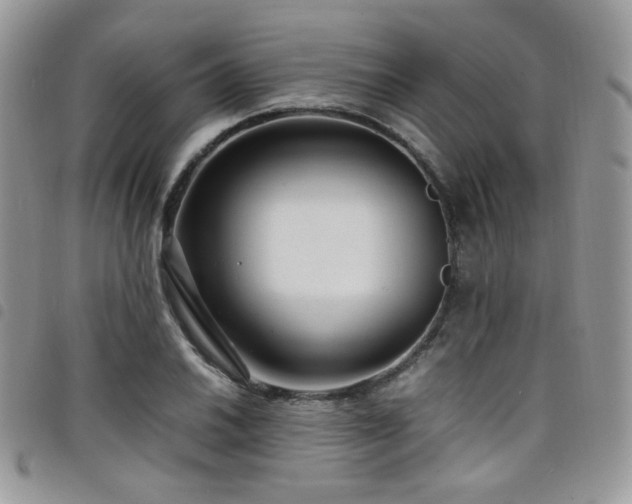 X0000098221030200804241339