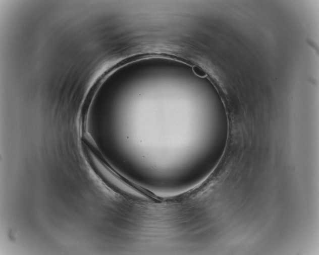 X0000098221032200804241339