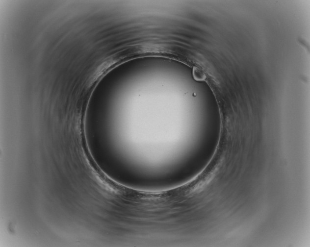 X0000098221033200804241339