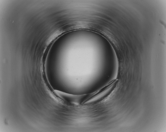 X0000098221034200804241339