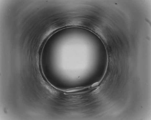 X0000098221035200804241339