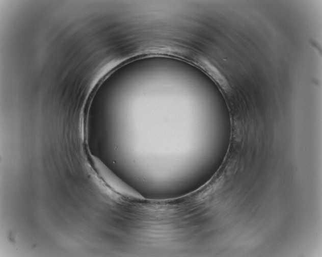 X0000098221036200804241339