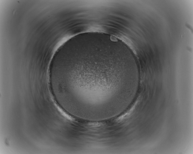 X0000098221037200804241339