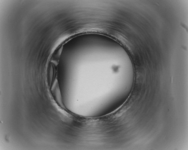 X0000098221038200804241339
