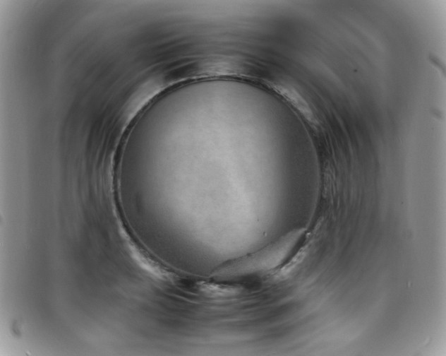 X0000098221039200804241339