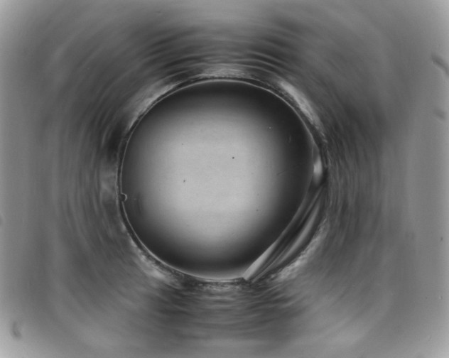 X0000098221041200804241339