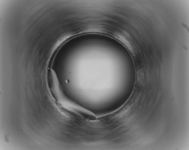 X0000098221043200804241339
