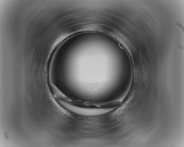 X0000098221045200804241339