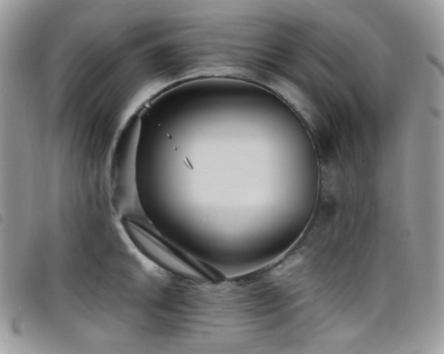 X0000098221046200804241339