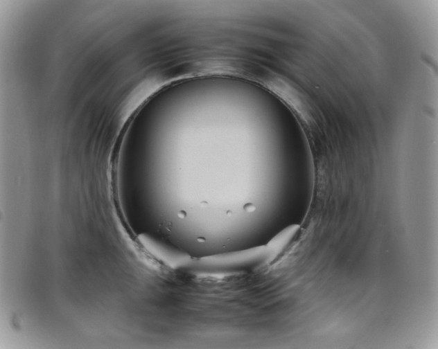 X0000098221047200804241339