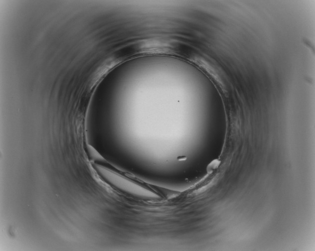 X0000098221049200804241339