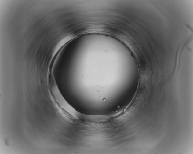 X0000098221050200804241339
