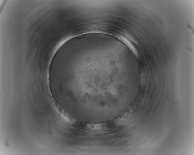 X0000098221051200804241339