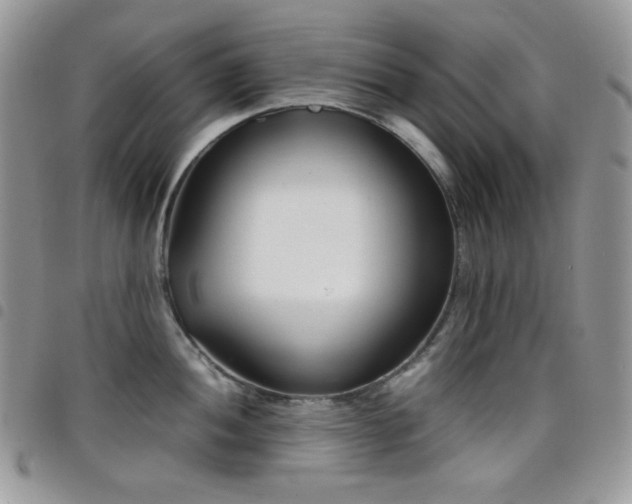 X0000098221052200804241339